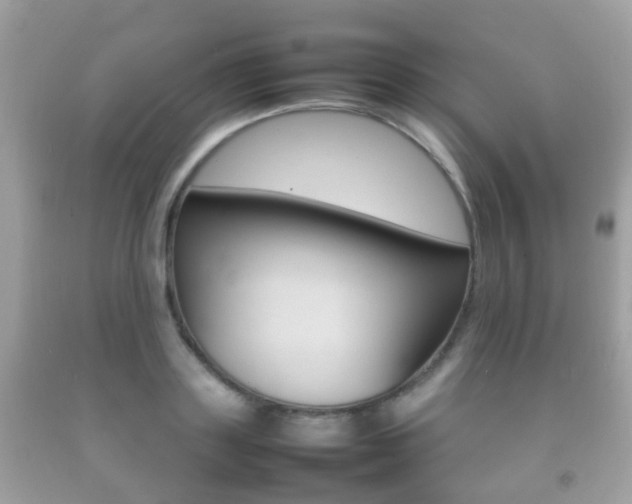 X0000092210843200709140900