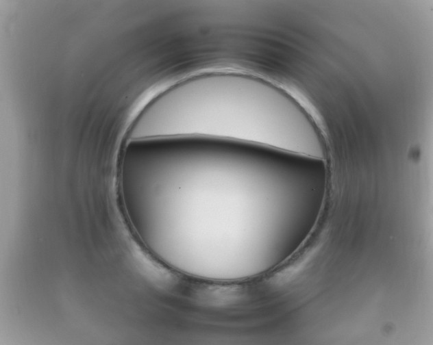 X0000092210845200709140900