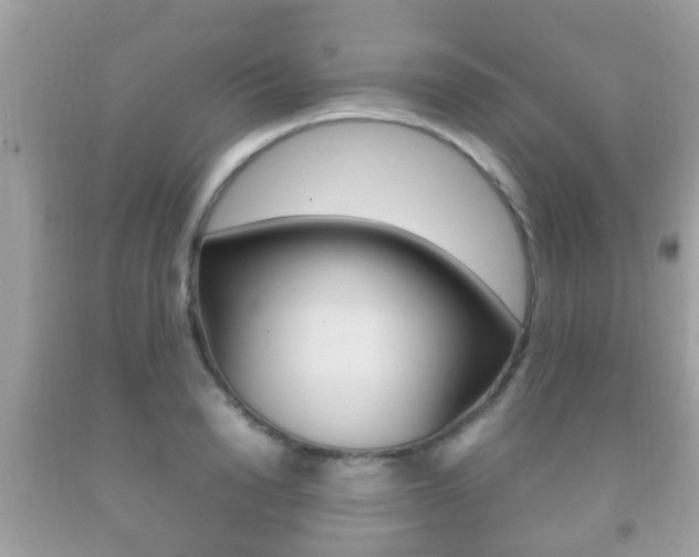 X0000092210846200709140900