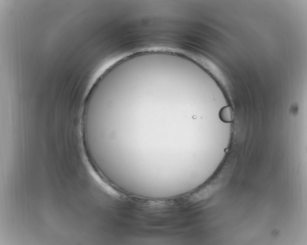 X0000092210847200709140900