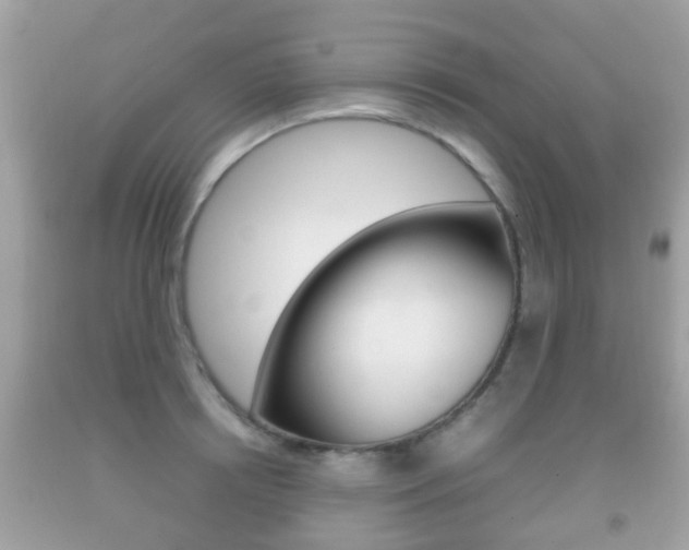 X0000092210850200709140900