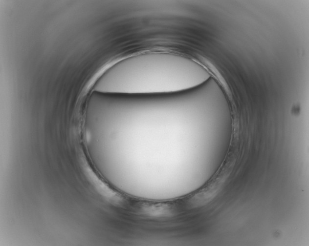 X0000092210851200709140900