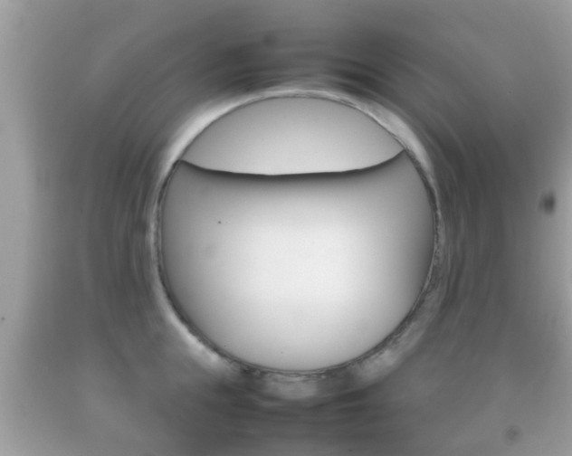 X0000092210855200709140900