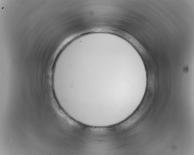 X0000092210856200709140900