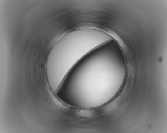 X0000092210857200709140900