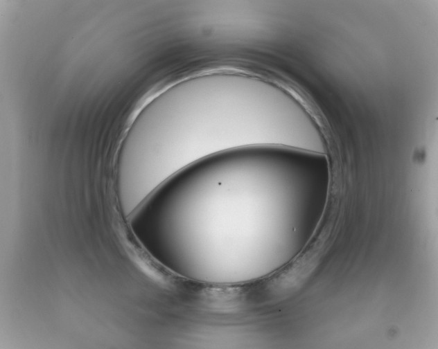 X0000092210858200709140900