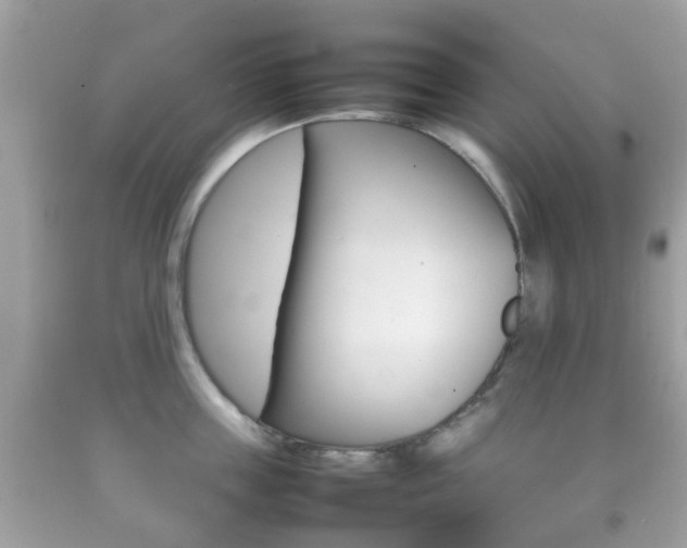 X0000092210859200709140900