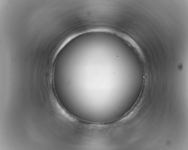 X0000092210860200709140900