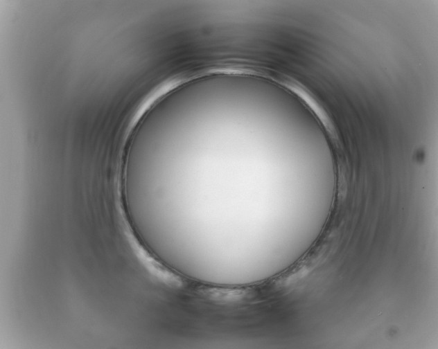 X0000092210861200709140900