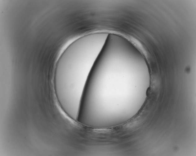 X0000092210863200709140900
