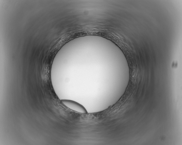 X0000092210866200709140900