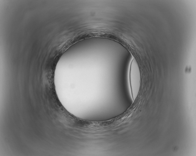 X0000092210867200709140900