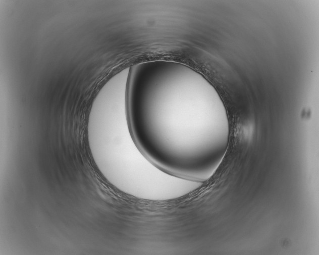 X0000092210868200709140900