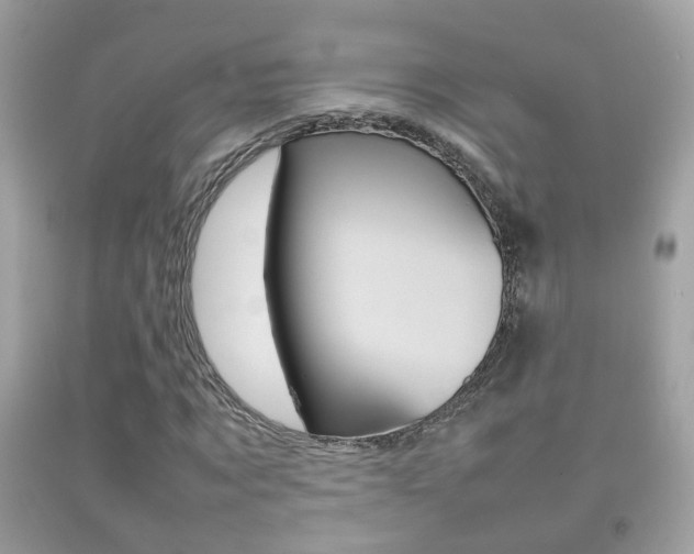 X0000092210869200709140900