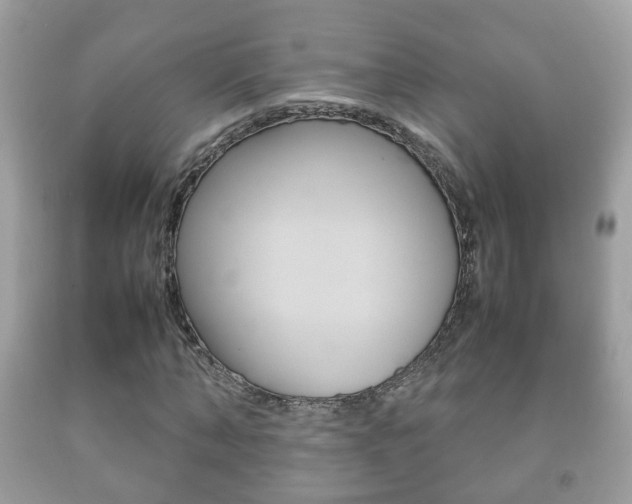 X0000092210870200709140900