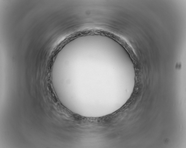 X0000092210871200709140859