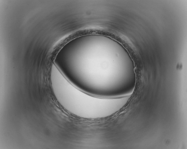 X0000092210872200709140859