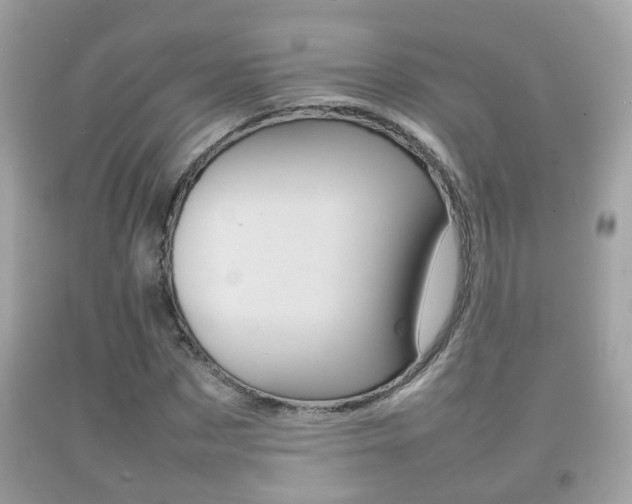 X0000092210873200709140859