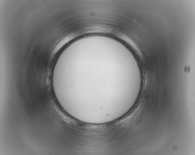 X0000092210874200709140859
