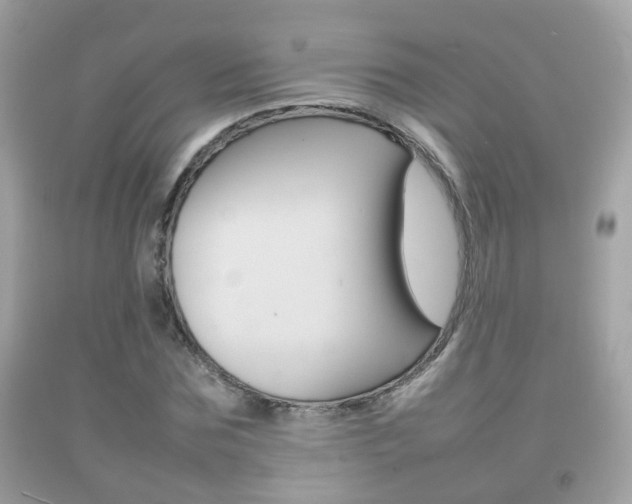 X0000092210875200709140859