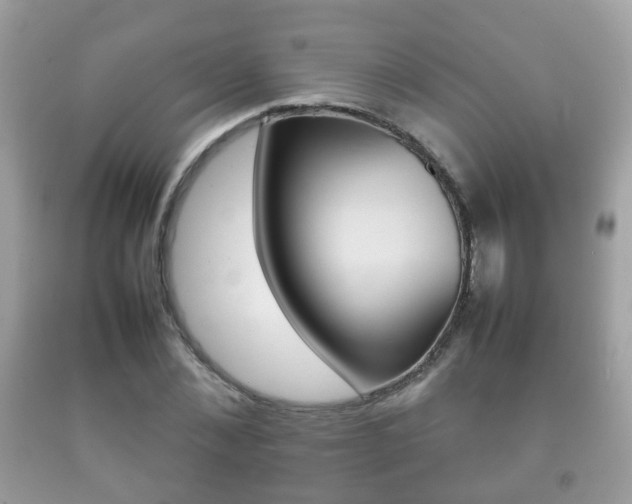 X0000092210876200709140859