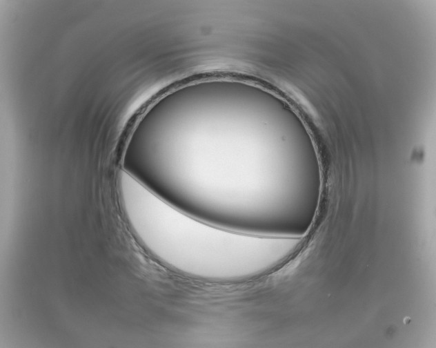 X0000092210877200709140859