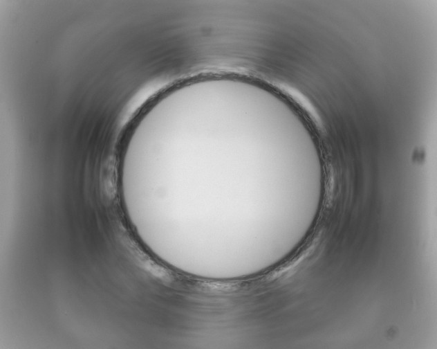 X0000092210878200709140859