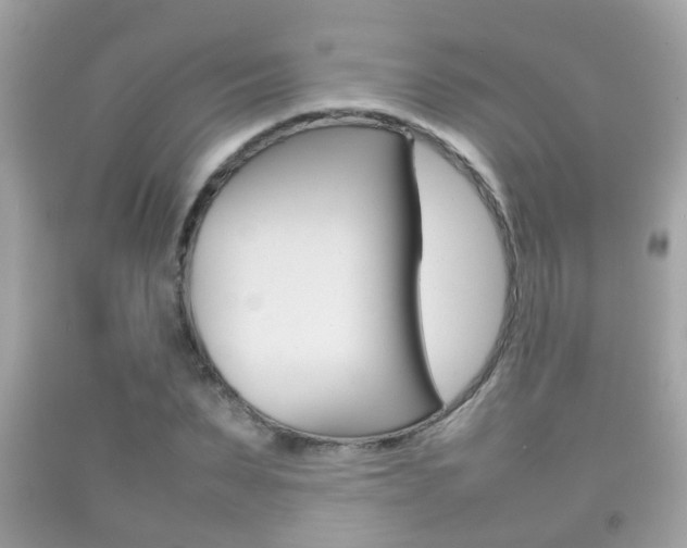X0000092210879200709140859