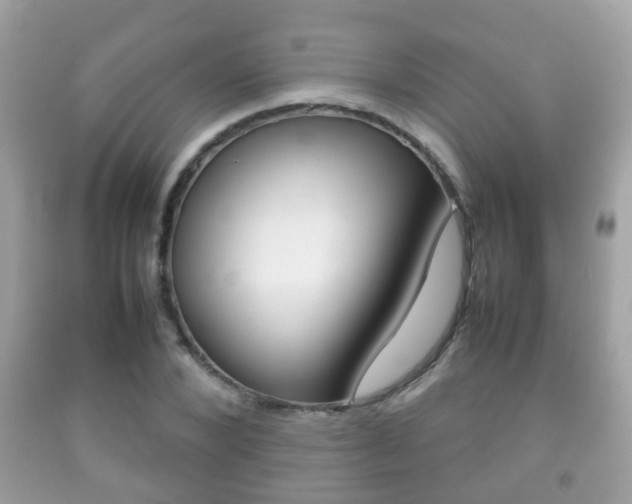 X0000092210880200709140859