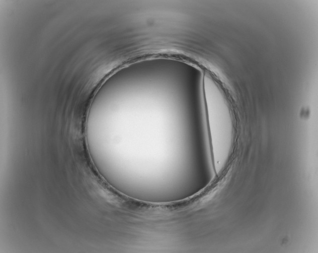 X0000092210881200709140859