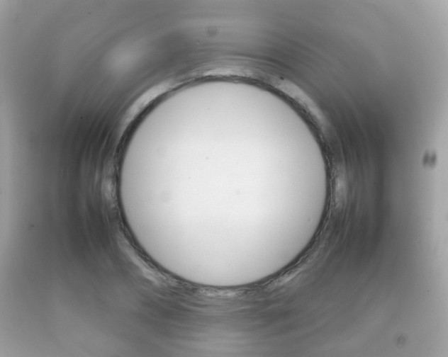 X0000092210882200709140859
