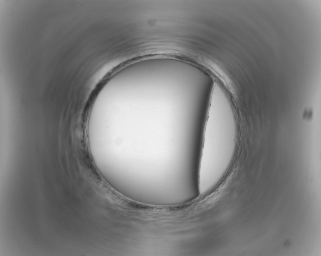 X0000092210883200709140859