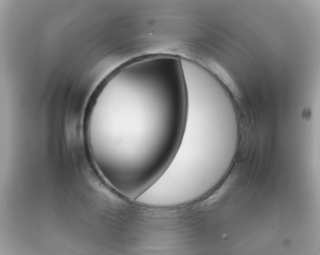 X0000092210884200709140859