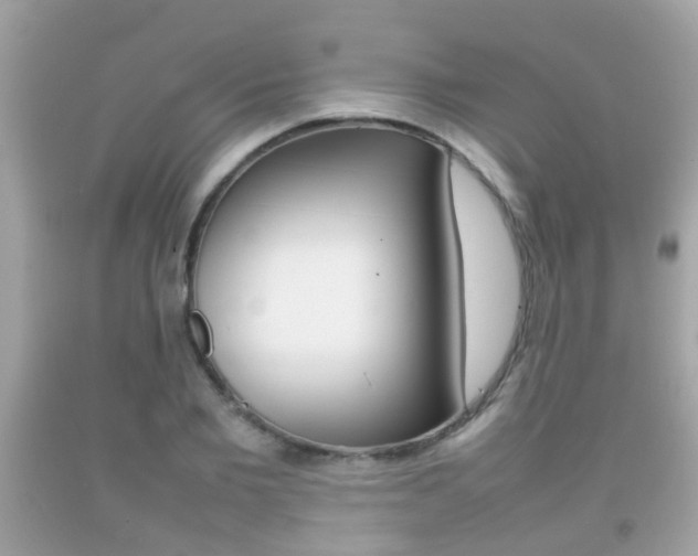 X0000092210885200709140859