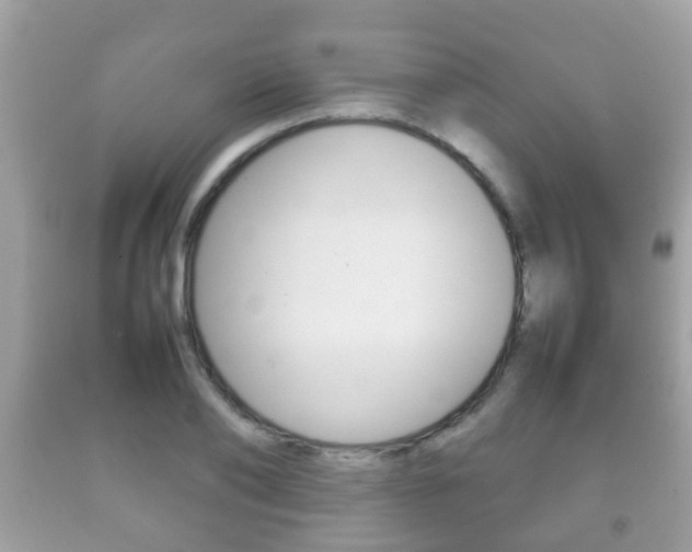X0000092210886200709140859