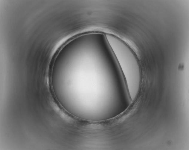 X0000092210888200709140859