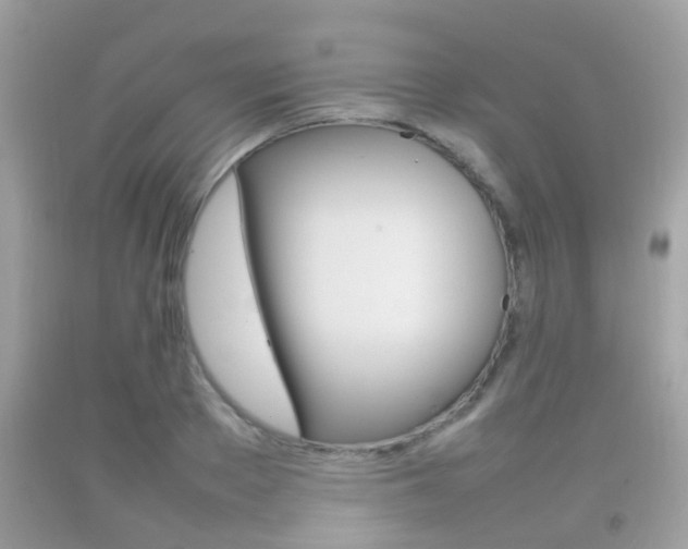 X0000092210889200709140859