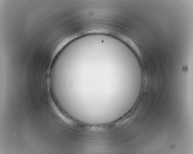 X0000092210890200709140859
