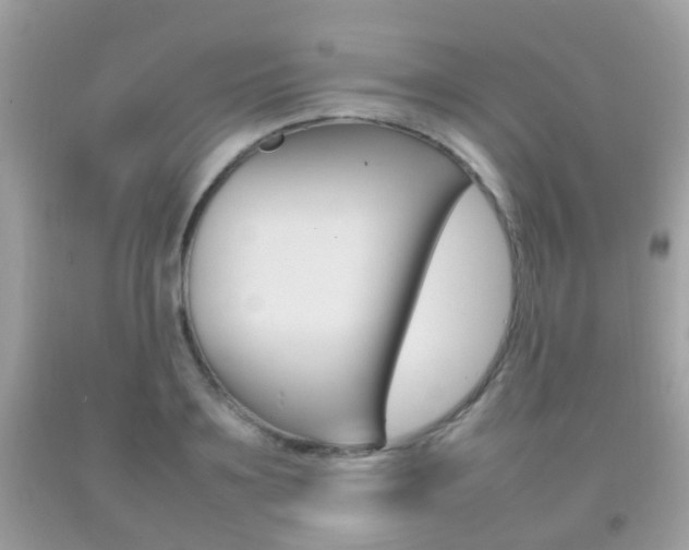 X0000092210891200709140859