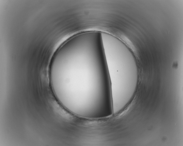 X0000092210892200709140859