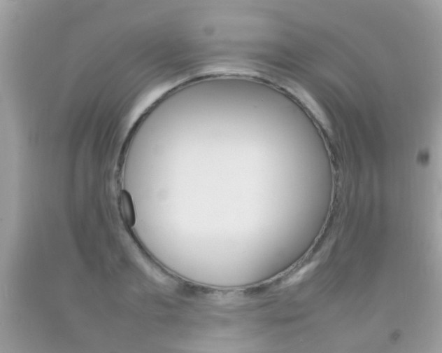 X0000092210893200709140859