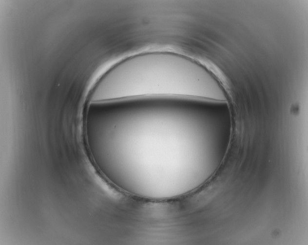X0000092210894200709140859