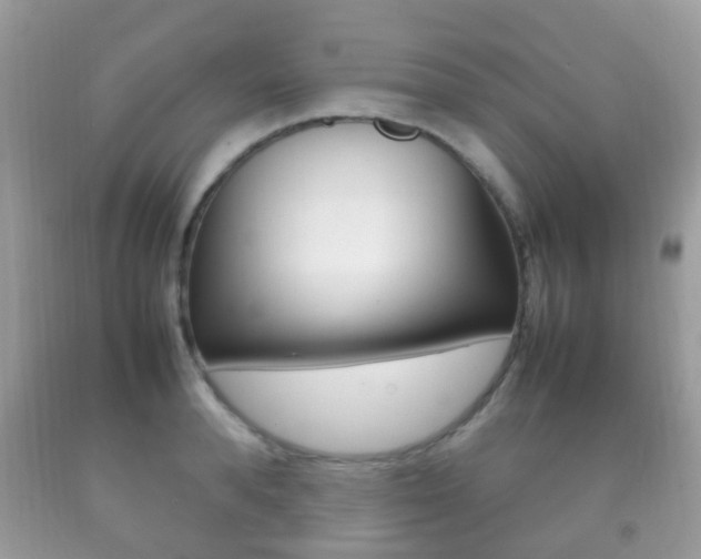 X0000092210896200709140859
