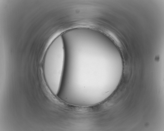 X0000092210899200709140859