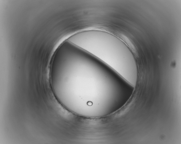 X0000092210900200709140859