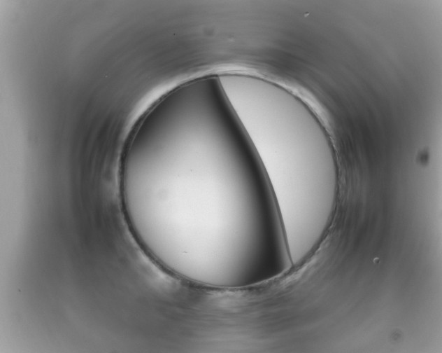 X0000092210902200709140859