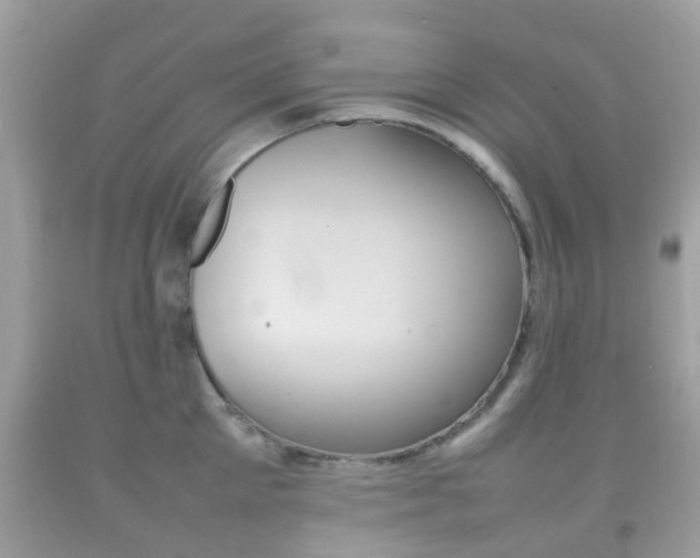 X0000092210905200709140859