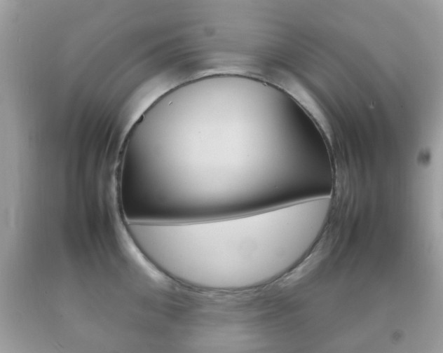 X0000092210906200709140859