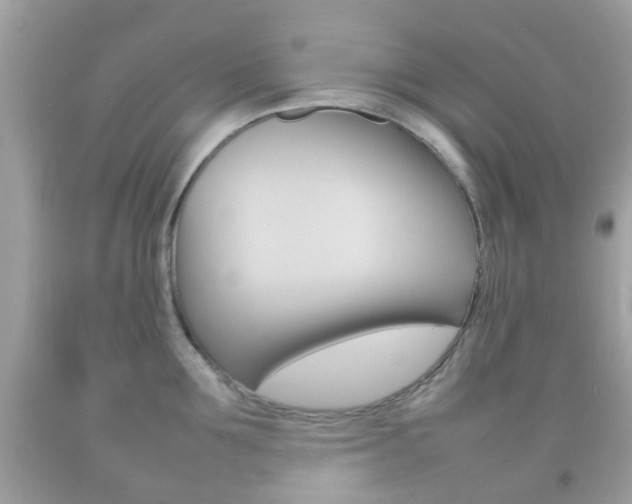 X0000092210907200709140859