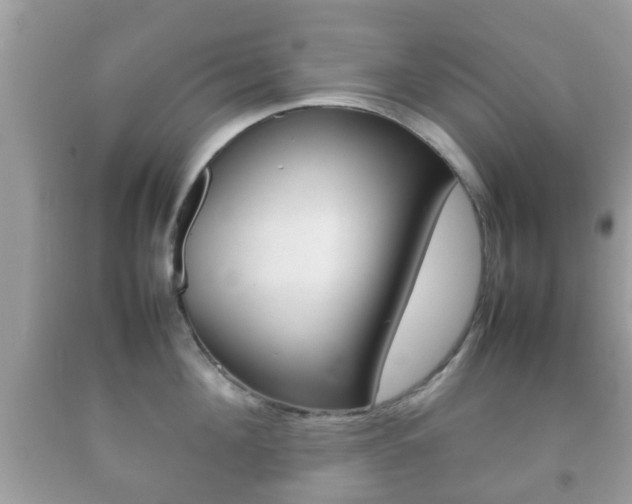 X0000092210908200709140859